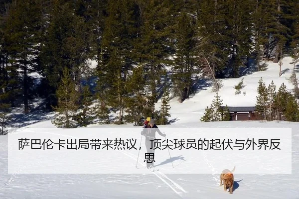 萨巴伦卡出局带来热议，顶尖球员的起伏与外界反思